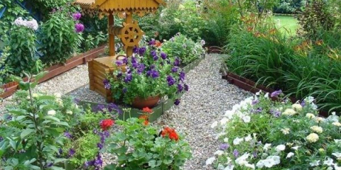 Цветна градина в страната за начинаещи - как да направите цветна леха със собствените си ръце